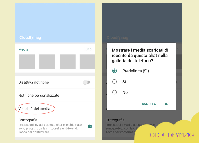 visibilità dei media whatsapp